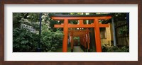 Framed Torii Gates in a park, Ueno Park, Taito, Tokyo Prefecture, Kanto Region, Japan
