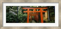 Framed Torii Gates in a park, Ueno Park, Taito, Tokyo Prefecture, Kanto Region, Japan