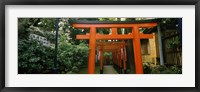 Framed Torii Gates in a park, Ueno Park, Taito, Tokyo Prefecture, Kanto Region, Japan
