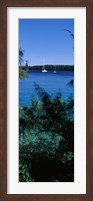Framed Sailboats in the ocean, Kingdom of Tonga, Vava'u Group of Islands, South Pacific
