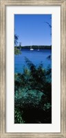 Framed Sailboats in the ocean, Kingdom of Tonga, Vava'u Group of Islands, South Pacific