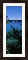 Framed Sailboats in the ocean, Kingdom of Tonga, Vava'u Group of Islands, South Pacific