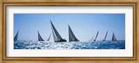 Framed Sailboats racing in the sea, Farr 40's race during Key West Race Week, Key West Florida, 2000