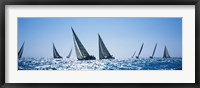 Framed Sailboats racing in the sea, Farr 40's race during Key West Race Week, Key West Florida, 2000