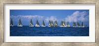 Framed Farr 40's race during Key West Race Week, Key West Florida, 2000