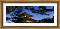 Framed Low angle view of trees in front of a temple, Kinkaku-ji Temple, Kyoto City, Kyoto Prefecture, Kinki Region, Honshu, Japan