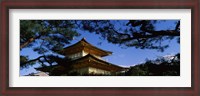 Framed Low angle view of trees in front of a temple, Kinkaku-ji Temple, Kyoto City, Kyoto Prefecture, Kinki Region, Honshu, Japan