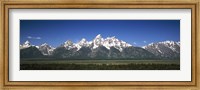 Framed Trees in a forest with mountains in the background, Teton Point Turnout, Teton Range, Grand Teton National Park, Wyoming, USA