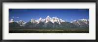 Framed Trees in a forest with mountains in the background, Teton Point Turnout, Teton Range, Grand Teton National Park, Wyoming, USA