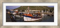 Framed Fishing boats moored at a harbor, Kalk Bay Harbour, Kalk Bay, False Bay, Cape Town, Western Cape Province, South Africa