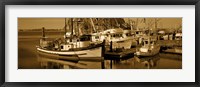 Framed Fishing boats in the sea, Morro Bay, San Luis Obispo County, California, USA