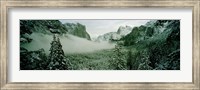 Framed Trees in a forest, Yosemite National Park, Mariposa County, California, USA