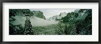 Framed Trees in a forest, Yosemite National Park, Mariposa County, California, USA