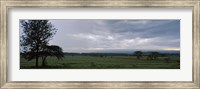 Framed Lake Nakuru National Park, Great Rift Valley, Kenya