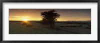 Framed Sunset over a landscape, Masai Mara National Reserve, Great Rift Valley, Kenya
