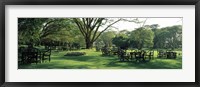 Framed Chairs and tables in a lawn, Lake Naivasha Country Club, Great Rift Valley, Kenya