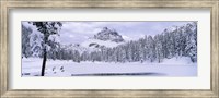 Framed Trees along a frozen lake, Lake Antorno, Tre Cime Di Lavaredo, Dolomites, Cadore, Province of Belluno, Veneto, Italy