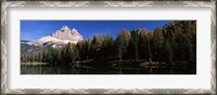 Framed Trees at the lakeside, Lake Misurina, Tre Cime Di Lavaredo, Dolomites, Cadore, Province of Belluno, Veneto, Italy