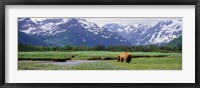 Framed Kukak Bay, Katmai National Park, Alaska