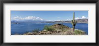 Framed Cactus at the lakeside with a mountain range in the background, Lake Pleasant, Arizona, USA