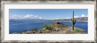 Framed Cactus at the lakeside with a mountain range in the background, Lake Pleasant, Arizona, USA