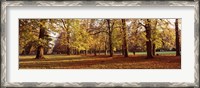 Framed Ludwigsburg Park in autumn, Ludwigsburg, Baden-Wurttemberg, Germany