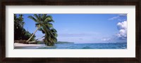 Framed Palm trees on the beach, Indonesia
