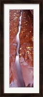 Framed Stream flowing through rocks, Zion National Park, Utah