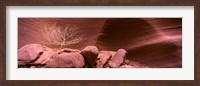 Framed Bare Tree and Rock formations, Antelope Canyon, Arizona