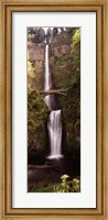 Framed Waterfall in a forest, Multnomah Falls, Columbia River Gorge, Oregon, USA