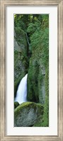 Framed Waterfall in a forest, Columbia River Gorge, Oregon, USA