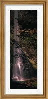 Framed Waterfall in a forest, Columbia Gorge, Oregon, USA