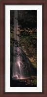 Framed Waterfall in a forest, Columbia Gorge, Oregon, USA