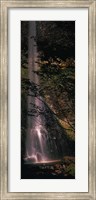 Framed Waterfall in a forest, Columbia Gorge, Oregon, USA