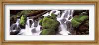Framed Cascading waterfall in a rainforest, Olympic National Park, Washington State, USA