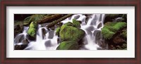 Framed Cascading waterfall in a rainforest, Olympic National Park, Washington State, USA