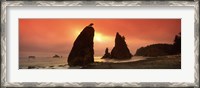 Framed Silhouette of seastacks at sunset, Olympic National Park, Washington State