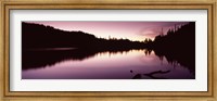 Framed Reflection of trees in a lake, Mt Rainier, Pierce County, Washington State