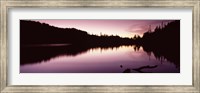 Framed Reflection of trees in a lake, Mt Rainier, Pierce County, Washington State