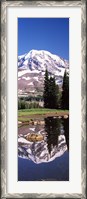 Framed Reflection of a mountain in a lake, Mt Rainier, Pierce County, Washington State, USA