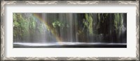 Framed Rainbow formed in front of waterfall in a forest, near Dunsmuir, California
