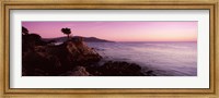 Framed Silhouette of a cypress tree at coast, The Lone Cypress, 17 mile Drive, Carmel, California, USA
