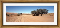 Framed Tire tracks in an arid landscape, Sossusvlei, Namib Desert, Namibia