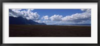 Framed Cattle pasture, Highway N7 from cape town to Namibia towards Citrusdal, Western Cape Province, South Africa