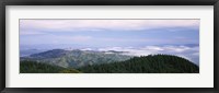 Framed View of San Francisco from Mt Tamalpais, Marin County, California, USA