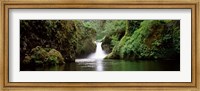 Framed Waterfall in a forest, Punch Bowl Falls, Eagle Creek, Hood River County, Oregon, USA