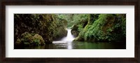 Framed Waterfall in a forest, Punch Bowl Falls, Eagle Creek, Hood River County, Oregon, USA