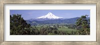 Framed Trees and farms with a snowcapped mountain in the background, Mt Hood, Oregon, USA