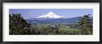 Framed Trees and farms with a snowcapped mountain in the background, Mt Hood, Oregon, USA