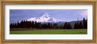 Framed Field with a snowcapped mountain in the background, Mt Hood, Oregon (horizontal)